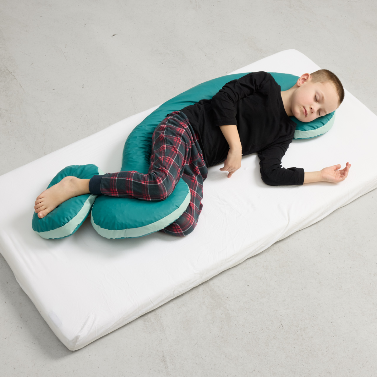 Seahorse Cushion small